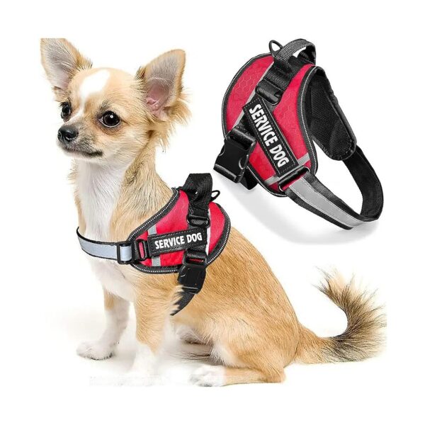 No-Pull Dog Harness with Handle for Safe and Efficient Walking