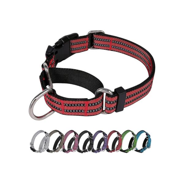 No-Pull Red Nylon Dog Collar with Buckle, Adjustable and Prevents Slipping Out of Dogs