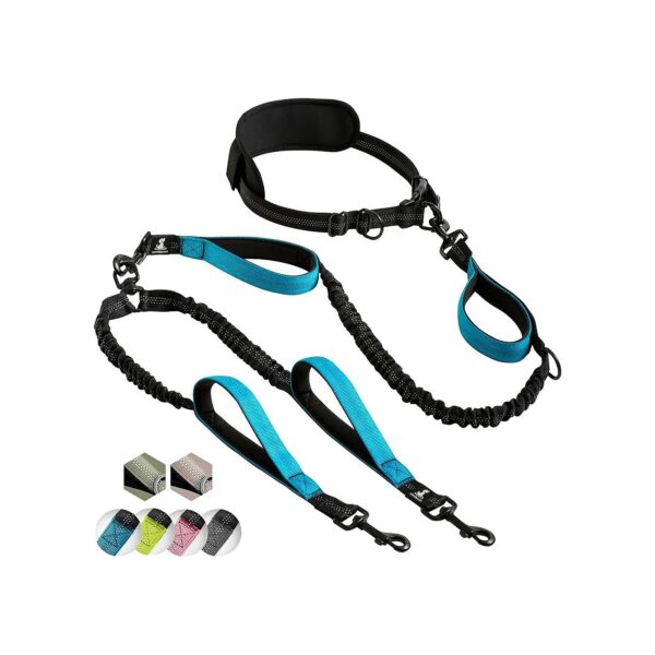 No-Pull and Tangle-Free Dual Dog Leash for Medium and Large Dogs