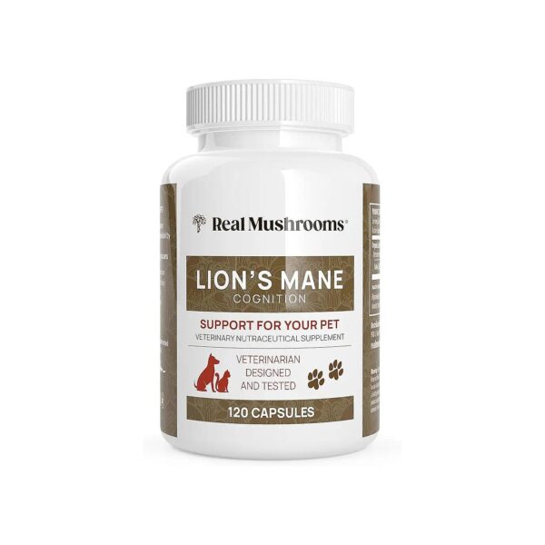 Non-GMO and Gluten-Free Pet Vitamins and Supplements with Lion's Mane Mushroom