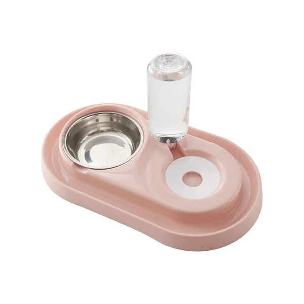 Nontoxic Double Pet Bowl Set with Water Dispenser and Removable Bowls for Small Pets