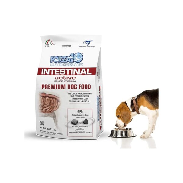 Nutrient-Rich Dry Dog Food for All Breeds with Gastrointestinal Health