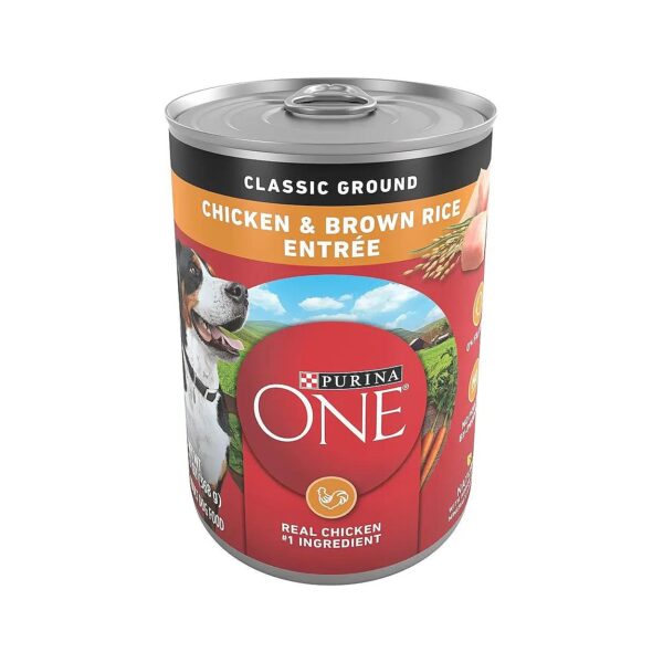 Nutrient-Rich Wet Food for Adult Dogs with Real Chicken and Brown Rice