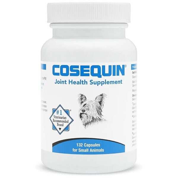 Nutritious Glucosamine Chondroitin Supplements for Small Animal Joint Health