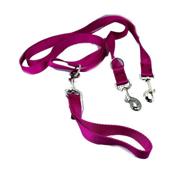 Nylon 1 Inch Euro Pet Leash for Dogs 4 to 8 Foot with Detachable Handle Raspberry