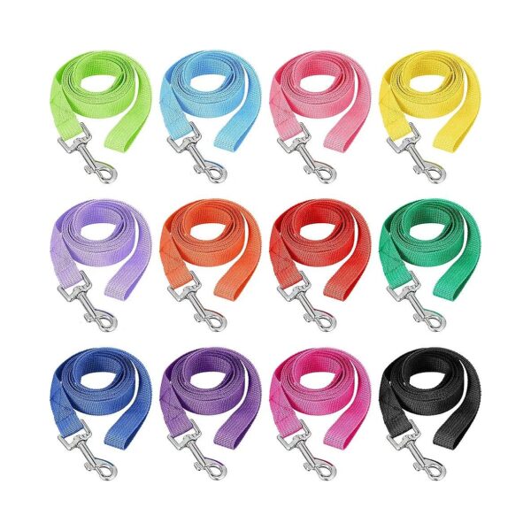 Nylon Dog Training Leash in 12 Modern Colors for Small to Medium Size Puppies and Dogs