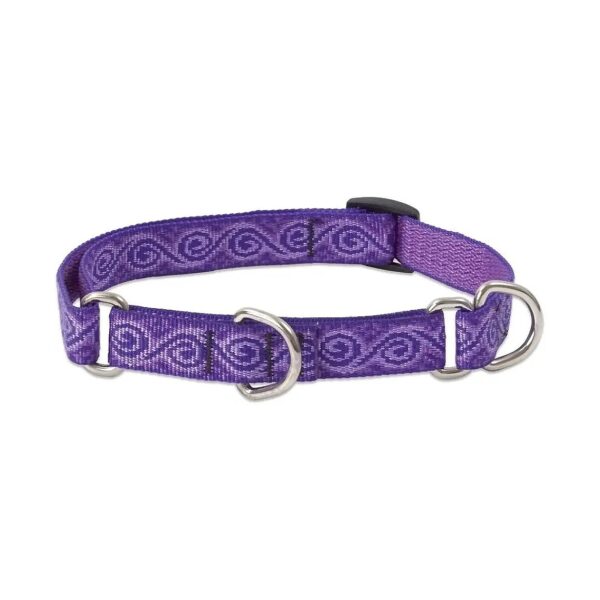 Nylon Martingale Collar for Medium and Larger Dogs in 14-20" Size with Jelly Roll Pattern