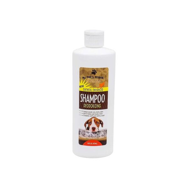 Oatmeal Enhanced Deodorizing Shampoo 2 Pack for Skin Relief