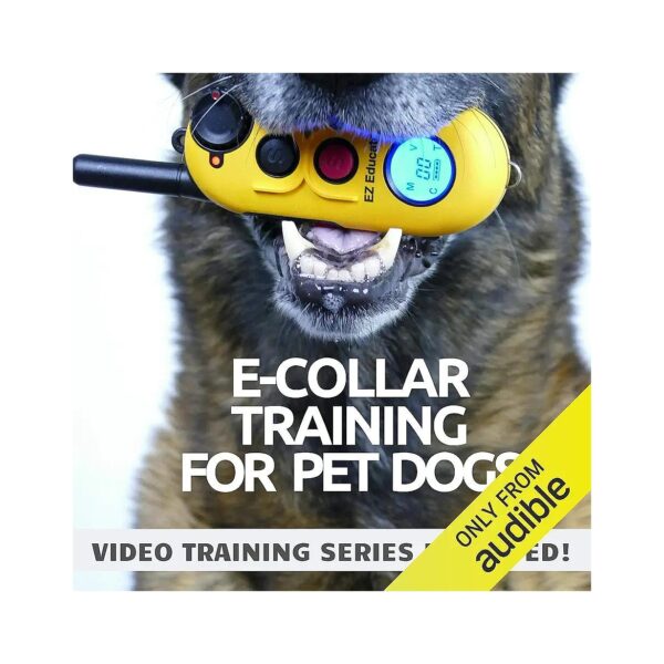 Off-Leash Training Strategies for Pet Dogs Using Electric Collars