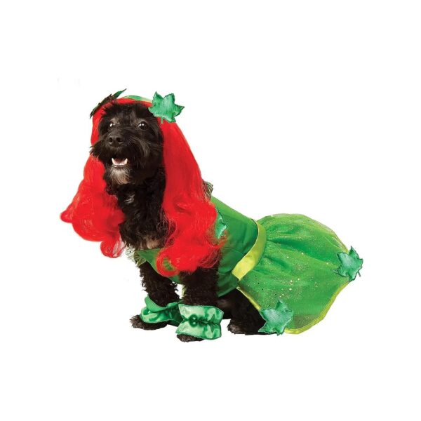 Official DC Comics Poison Ivy Pet Costume Medium Size with Interactive Accessories