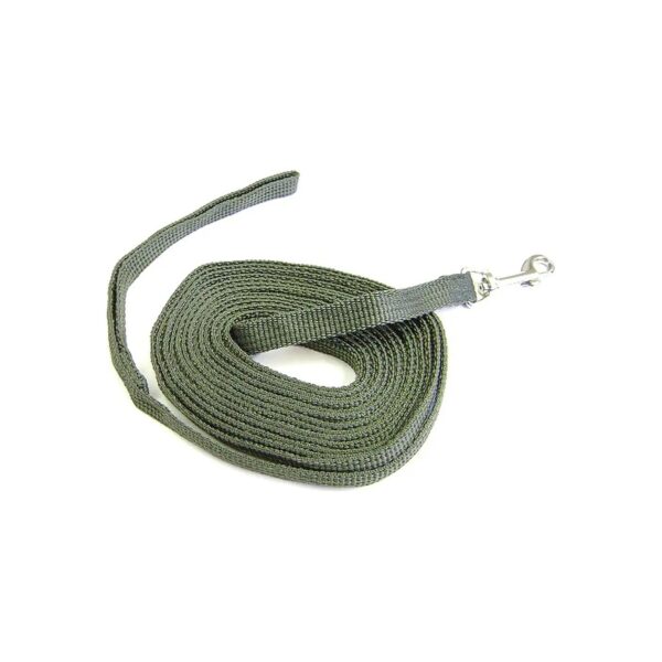 Olive Green 5/8-Inch x 15-Feet Cotton Webbing Training Lead for Pet and Equine Use