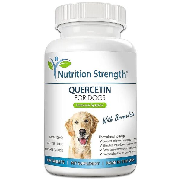 Optimize Your Dog's Immune System with Quercetin and Bromelain Nutrition