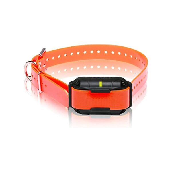 Orange High-Output Remote Training E-Collar for Medium to Large Dogs