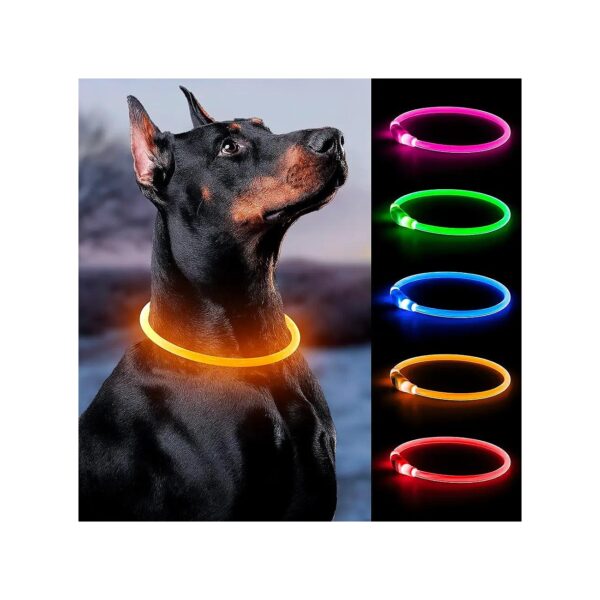 Orange LED Dog Collar with USB Rechargeable Design for Large, Medium, and Small Dogs