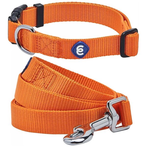 Orange Vermilion Solid Color Nylon Dog Collar and Leash Set for Medium Size Dogs