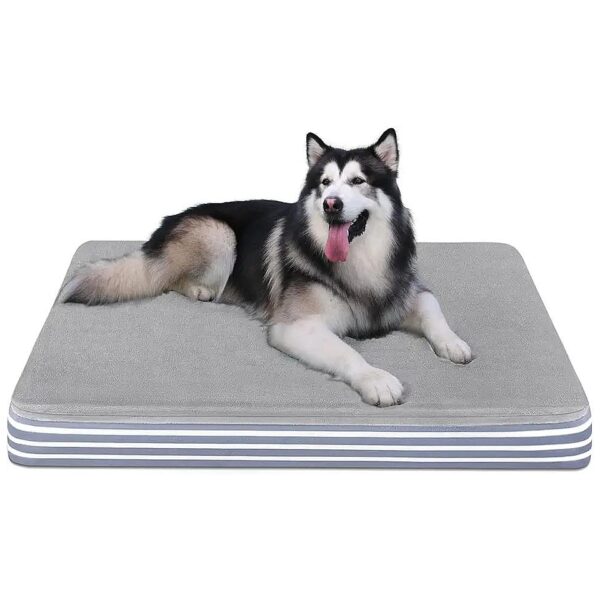 Orthopedic Dog Bed for Extra Large Dogs with 2-Layer Foam Mattress and Non-Slip Bottom