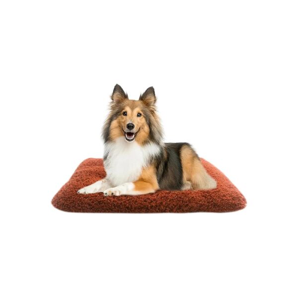 Orthopedic Dog Bed for Large and Medium Dogs with Anti-Slip Bottom and Soft Surface