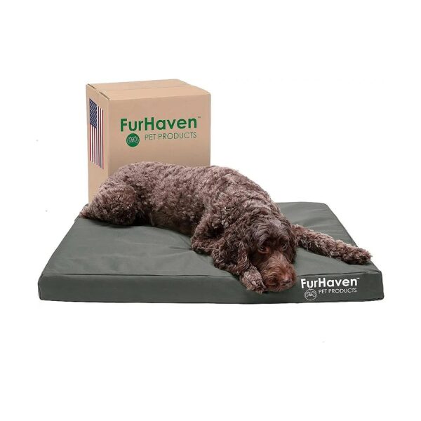 Orthopedic Dog Bed for Large and Medium-Sized Dogs with Water-Resistant Poly Canvas