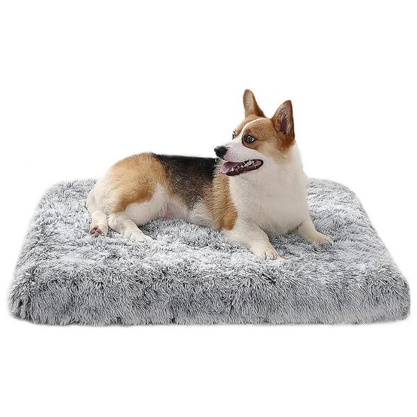 Orthopedic Dog Bed with Memory Foam and Waterproof Cover for Small to Medium Dogs