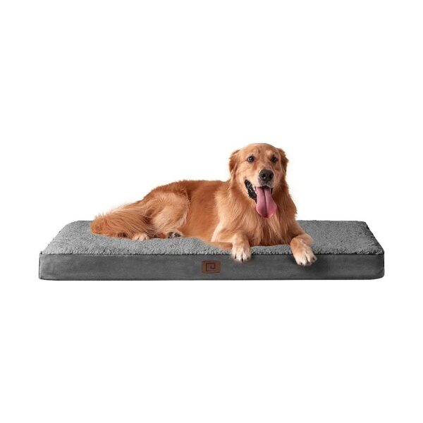 Orthopedic Dog Bed with Removable Cover for Large Dogs 35x23