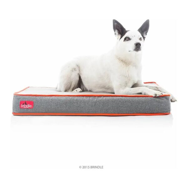 Orthopedic Memory Foam Dog Bed with Waterproof Cover and Soft Fabric