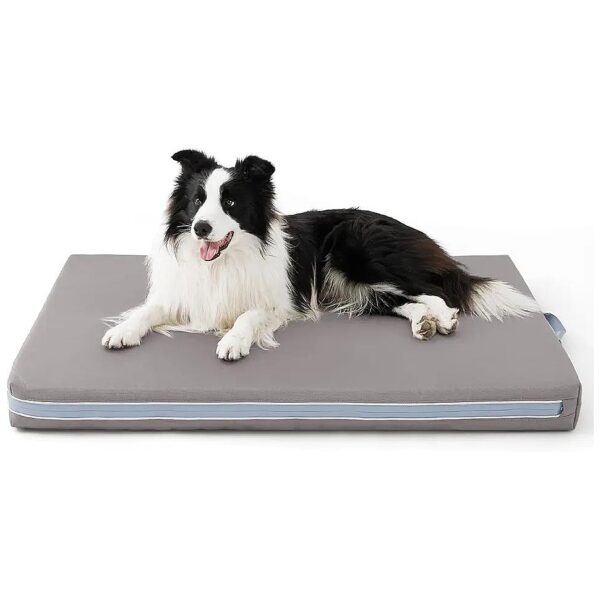 Orthopedic Supportive Waterproof Dog Bed for Large Dogs with Removable Cover