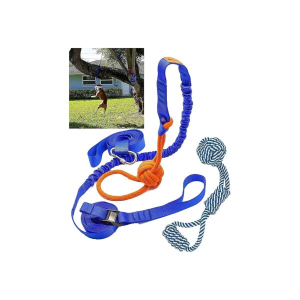 Outdoor Bungee Hanging Dog Toy for Pitbull and Small to Large Dogs Exercise and Solo Play