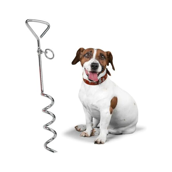 Outdoor Dog Play Boundary Tie-Out for Large Dogs - Heavy-Duty Stainless Steel