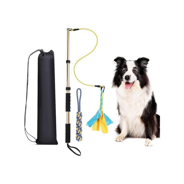 Outdoor Dog Play Toy with Teaser Wand Stick and Retractable Cord for Large Breed Dogs