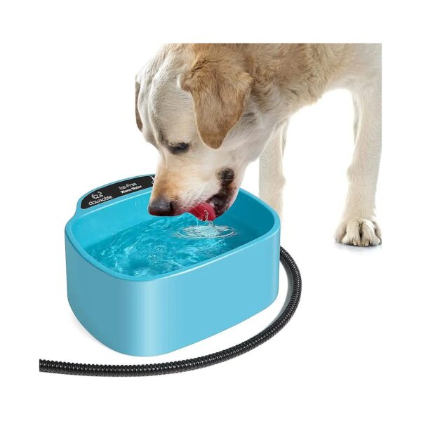 Outdoor Heated Water Bowl for Dogs and Cats in Winter