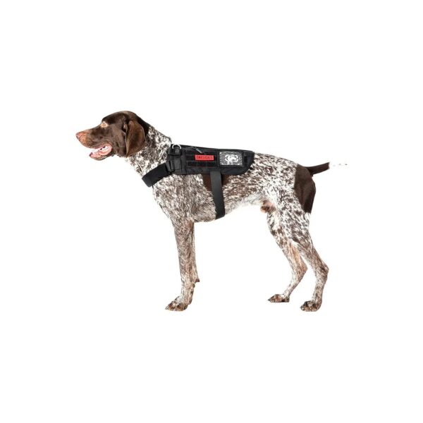 Outdoor Walking Dog Harness with Adjustable Girth and Secure No-Pull Design for Comfort