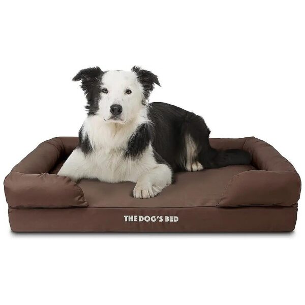 Oxford Brown Waterproof Dog Bed with Memory Foam for Pain Relief