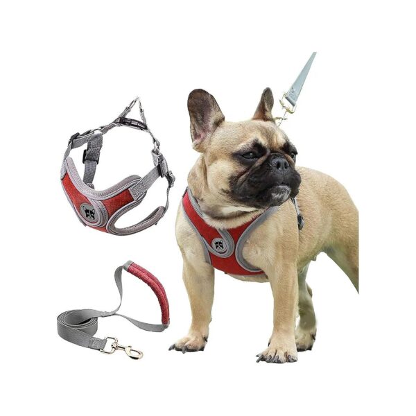 Padded Air Mesh Dog Harness with Leash Set X Shape Style for Small Medium Pets Red XS