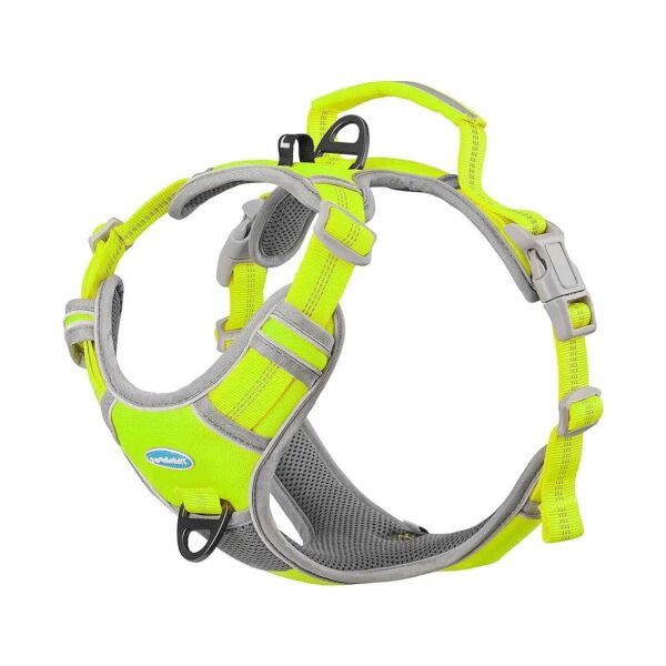 Padded Breathable Dog Safety Vest with Reflective Harness and Leash for Small Dogs