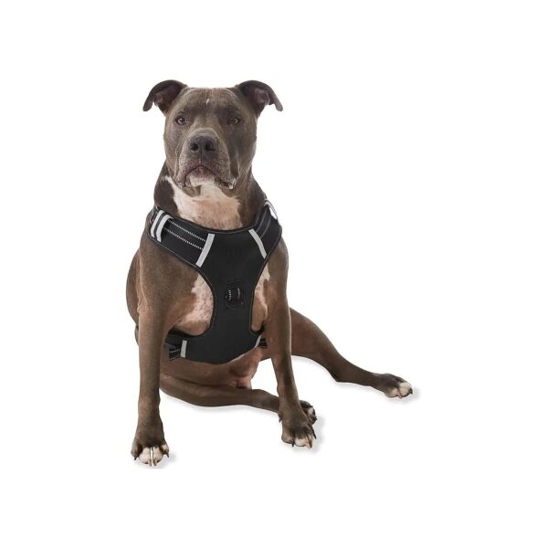 Padded Comfort Harness for Small Large Dogs with No Pull Design Medium Black