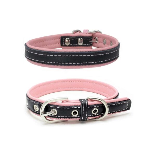 Padded Leather Dog Collar for Small Medium Large Dogs Soft Touch 6 Colors Available