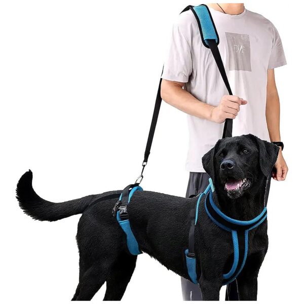 Pain Relief for Old, Disabled, and Injured Dogs with Full Body Support Harness