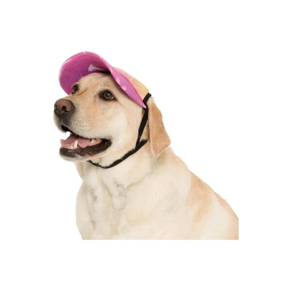 Palm Tree Pink Medium Dog Visor for Dogs Provides Wide and Flexible Sun Protection