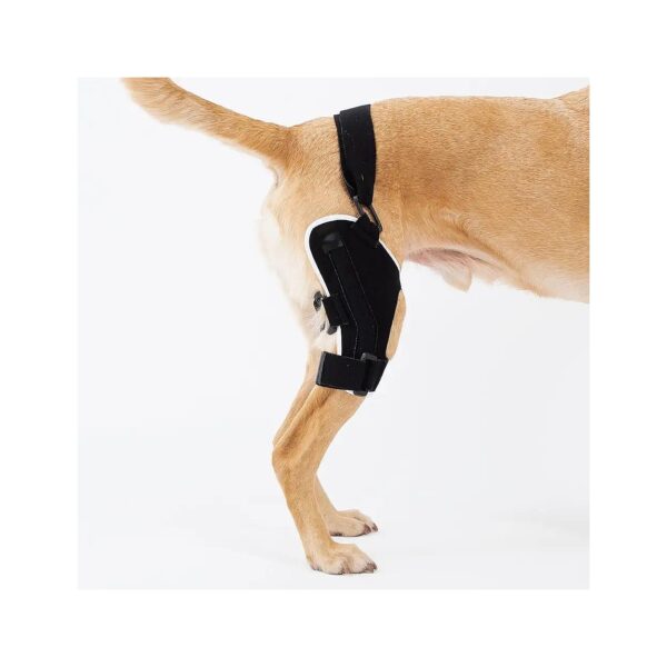 Patella Tracker Splinted Dog Knee Brace for dogs with Hip Dysplasia and Osteoarthritis