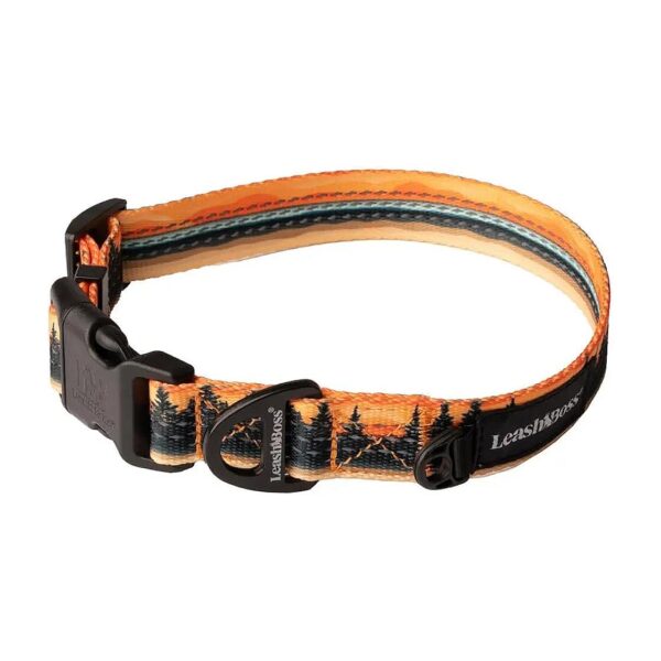 Patterned Reflective Dog Collar for Small Medium and Large Dogs with Soft Padded Interior