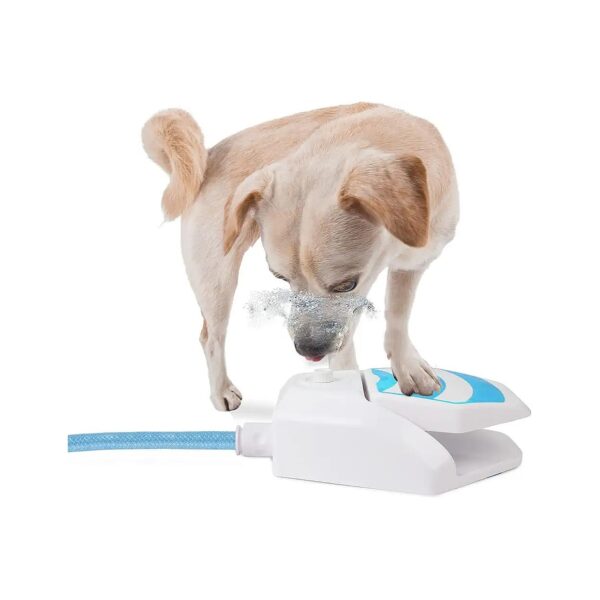 Paw Activated Outdoor Dog Water Fountain for Cooling and Hydration Fun