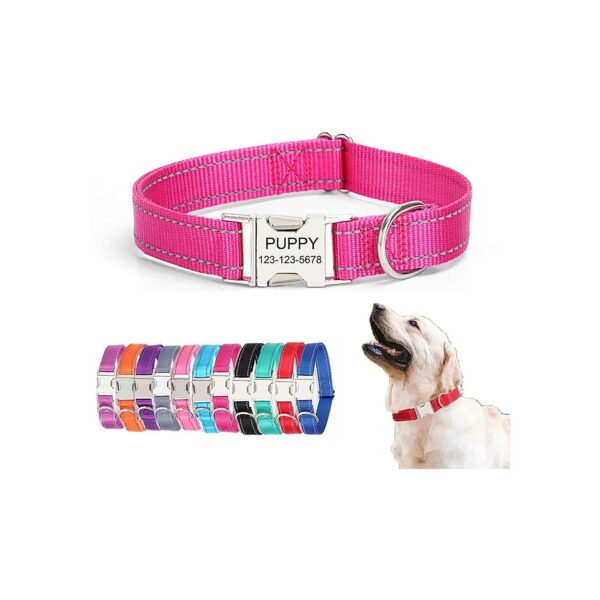 Personalized Customizable Reflective Dog Collars for Pets of All Sizes