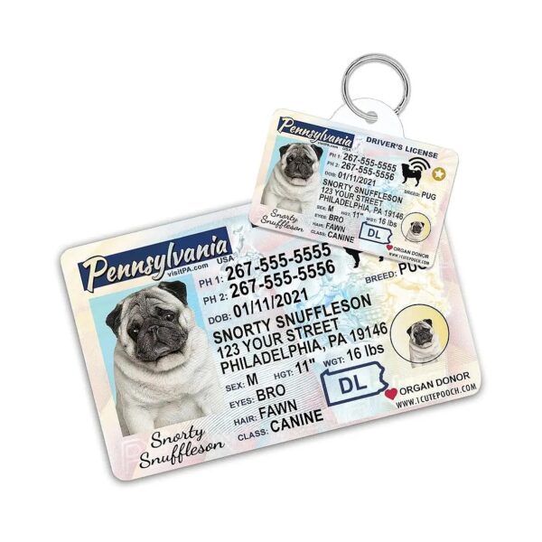 Personalized Driver License Pet ID Tags with Wallet Card for Dogs and Cats