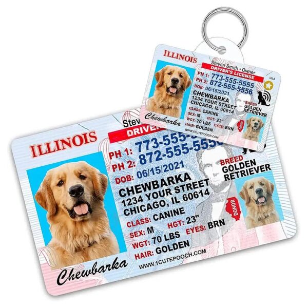 Personalized Pet ID Tag and Wallet Card Set for Dogs and Cats