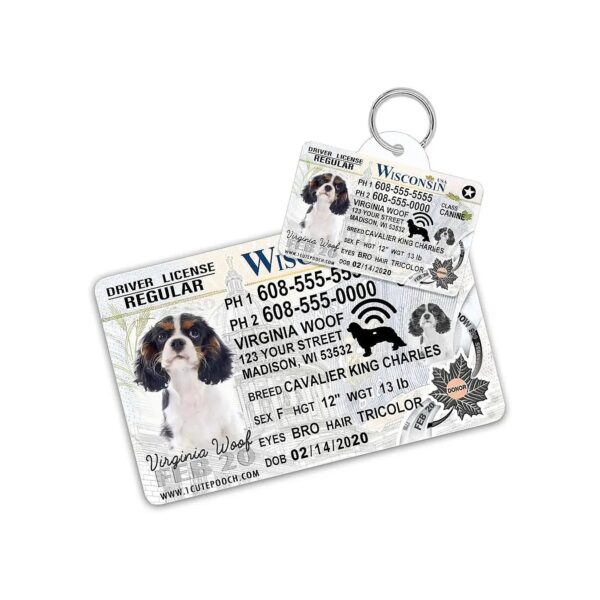 Personalized Pet Identification Tags and High Definition Wallet Card for Dogs and Cats