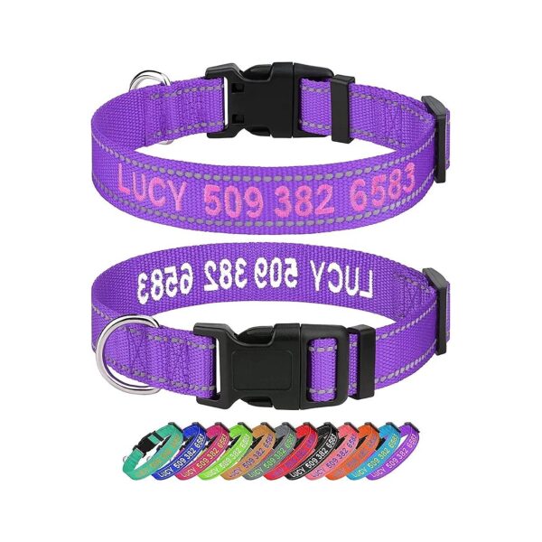 Personalized Purple Nylon Dog Collar with Reflective Embroidery and Phone Number