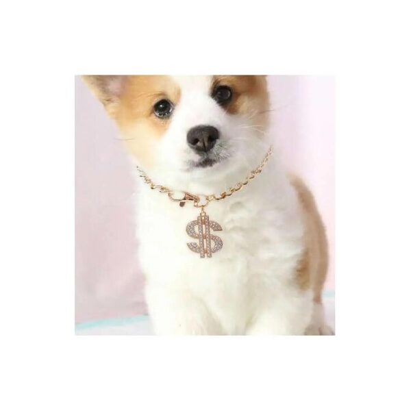 Pet Accessories for Small Breed Dogs Adjustable Gold Necklace