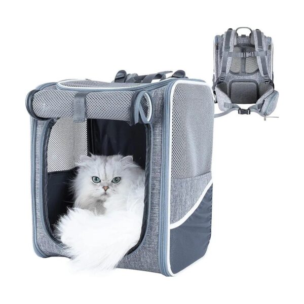 Pet Carrier Backpack, Medium Cat and Small Dog Size, Ergonomic Design and Soft Padding