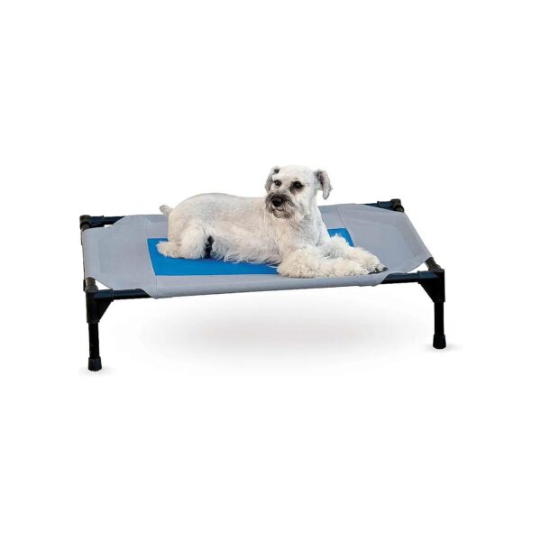 Pet Cooling Bed with Elevated Design and Ground Clearance for Reducing Heat Stress