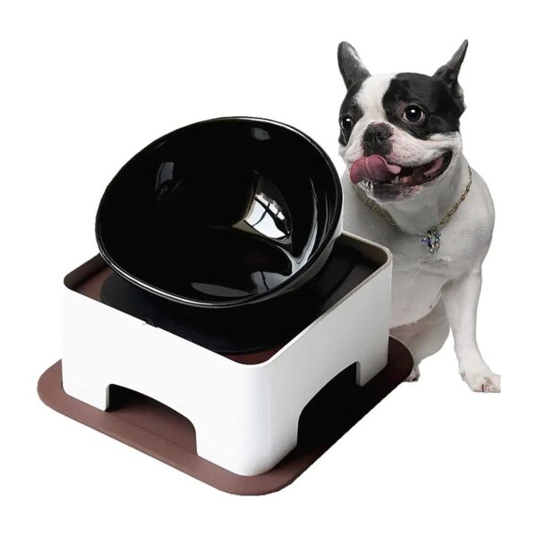 Pet Feeder with Anti-Skid Rubber Mat and Ceramic Bowl for Small to Medium Breed Dogs